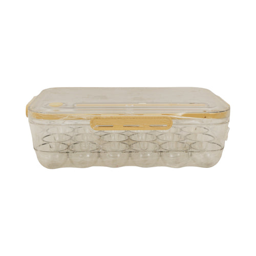 EGG BOX WITH LOCK IR C-110