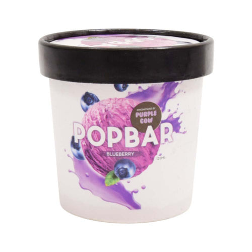 BLUBERRY ICE CREAM CUPS 125 ML