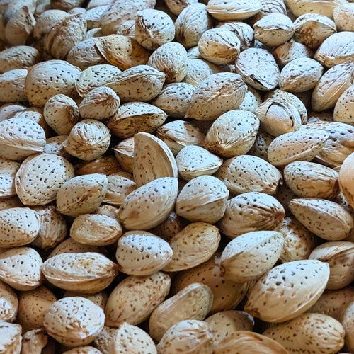 ALMOND ABDUL WAHDI WITH SHELL LOOSE