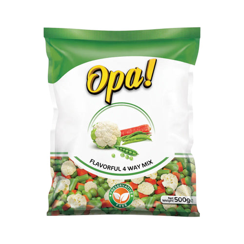 FAUJI FRESH AND FREEZE 4 WAY MIX 500GM